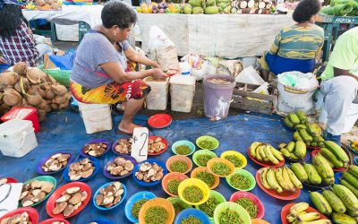 Call for Applications: Doing Research Assessments in Thailand, Indonesia and Fiji